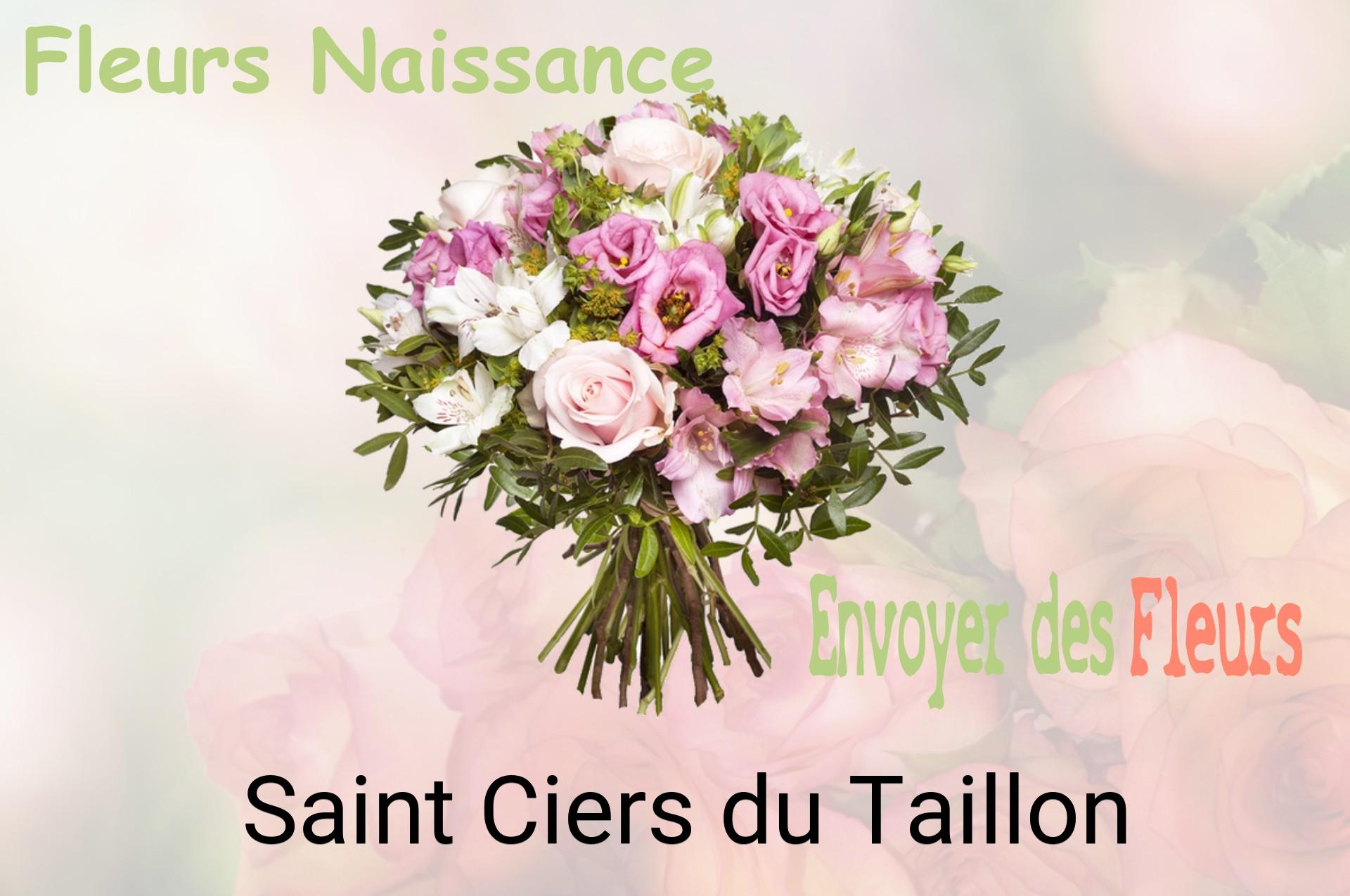 Bouquet de fleurs de naissance livré à Saint-Ciers-du-Taillon