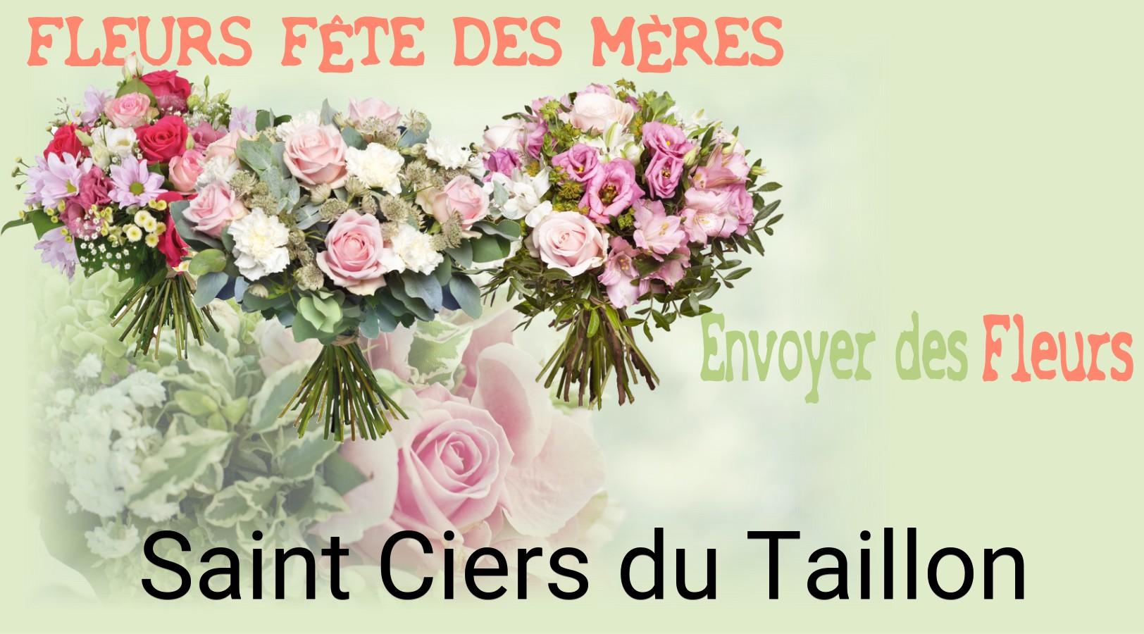 Bouquet de Fête des Mères livré à Saint-Ciers-du-Taillon
